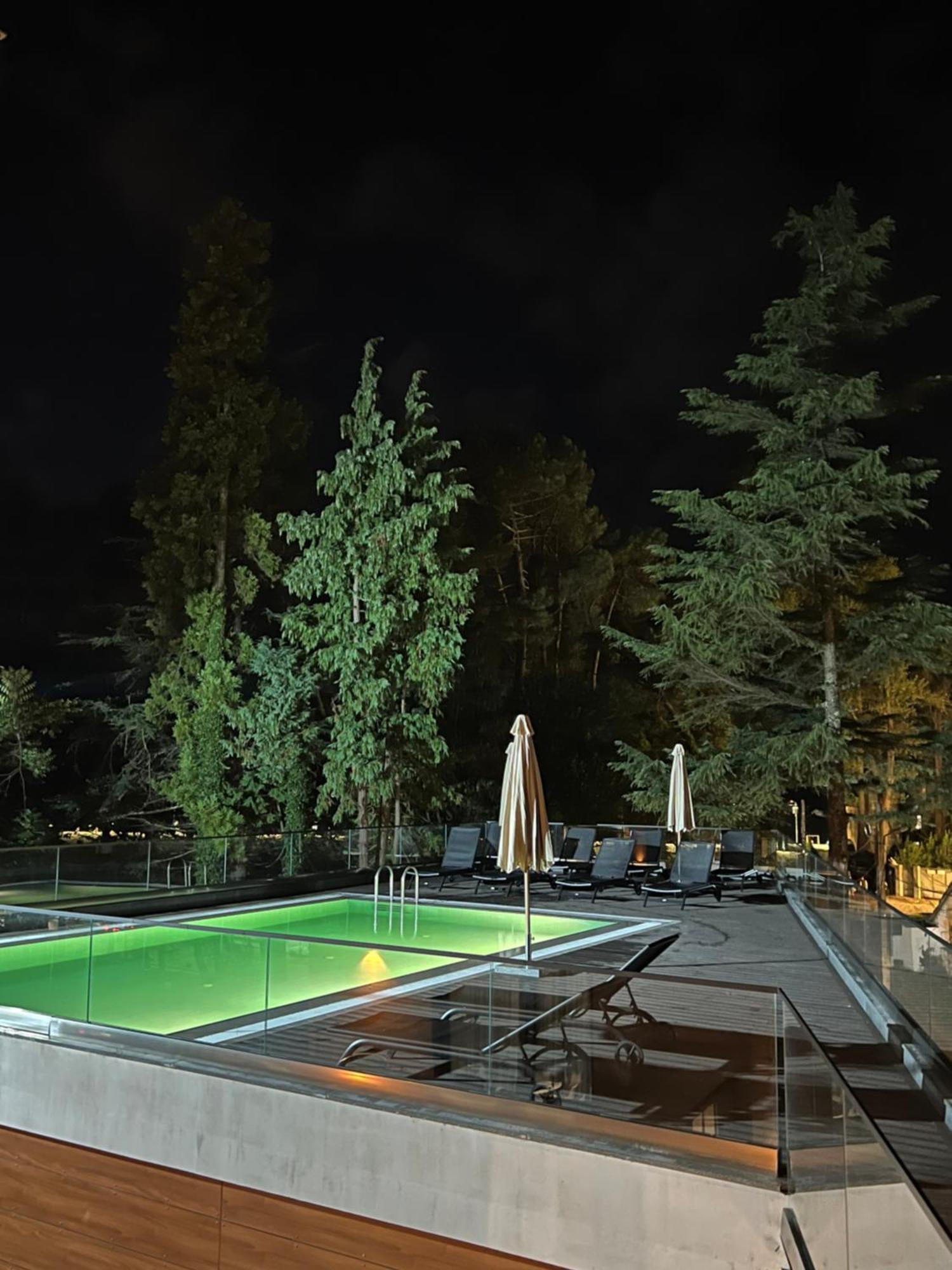 Ritsa Resort Уреки Экстерьер фото